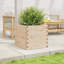 2 Outdoor Planter-100491953-100491928