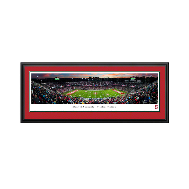NCAA Minnesota Football Celebration Panoramic Print, 18" H x 44" W x 0.88" D, Black Floater Framed