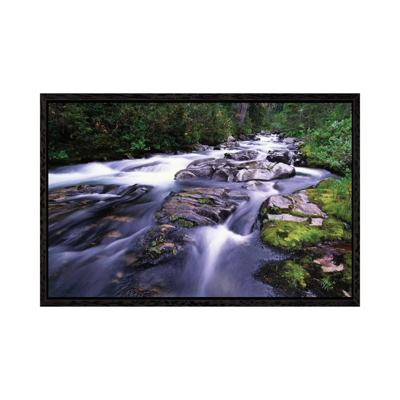 Paradise River, Mt Rainier National Park, Washington by Tim Fitzharris - Floater Frame Gallery-Wrapped Canvas Giclée on Canvas
