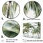 Palmiers sur la plage I - Ensemble de palmiers et palmiers-107763929-107763931