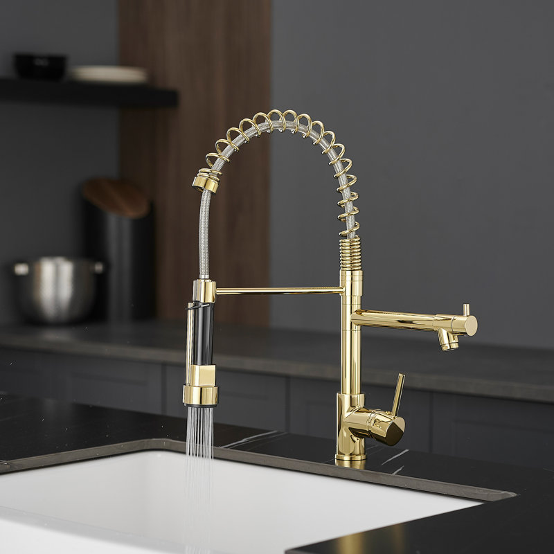 FLG Pull Down Kitchen Faucet, Gold