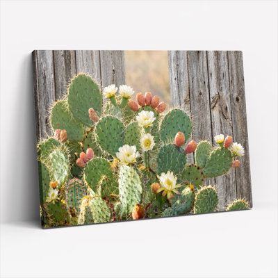 Ensemble de 1 tableau sur toile avec fleurs de cactus