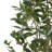 Abernethy Faux Bonsai Tree in Pot-1803665969