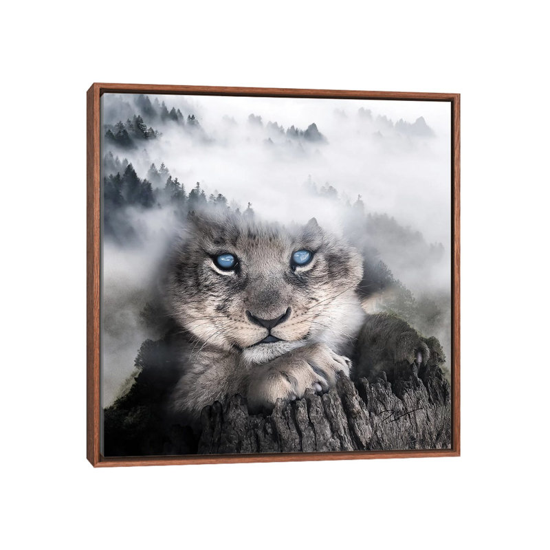 Cub by Paul Haag - Print on Canvas, 45.72 cm H x 45.72 cm W, Classic Brown Wood Framed