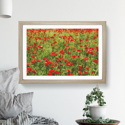 Field of Poppies Vol.2 - Framed Print