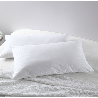 Barthold Polyester Plush Pillow