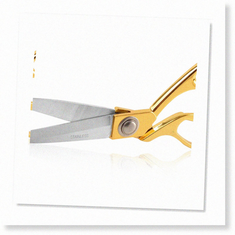 Scissors Heavy Duty