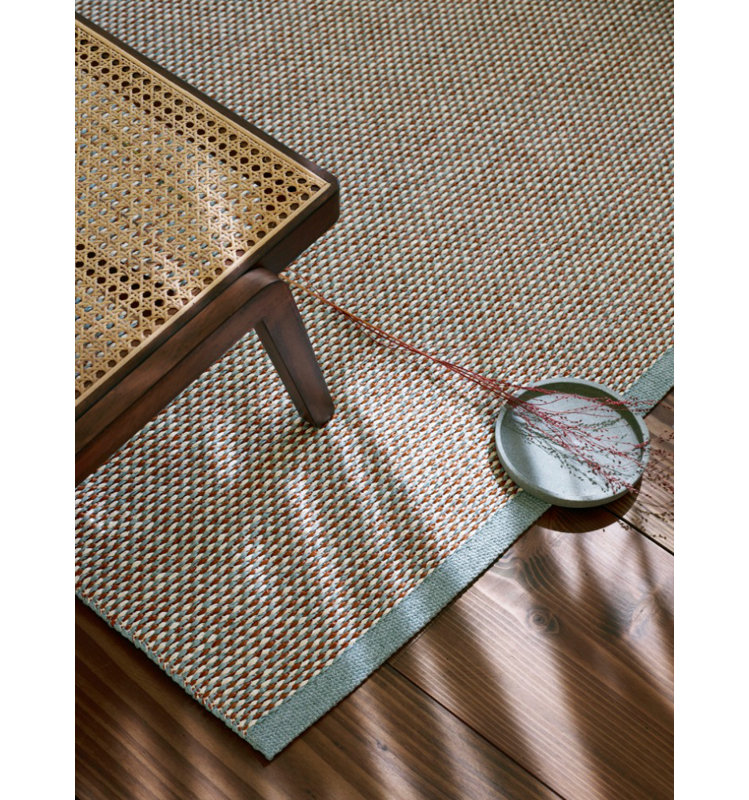 Effi Area Rug in Brown/Haze, Rectangle 2' x 4'