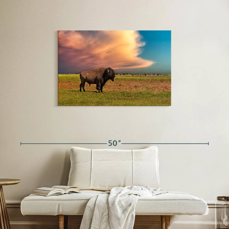 Brampt Badlands Bison, 24" H x 36" W