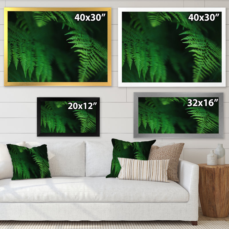 " Dark Green Fern On Black ", Black Closed Corner Frame Canvas, 30" H x 40" W