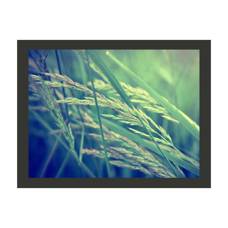 Cereal Field 3.09m x 400cm Wallpaper, 200 cm x 154 cm