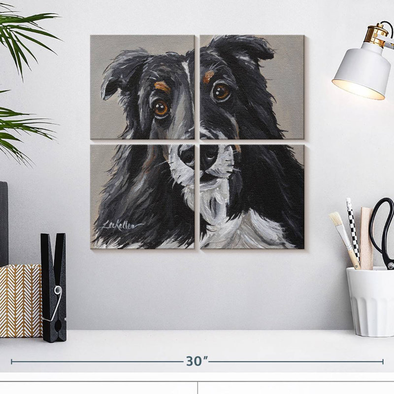 Sheltie de Brampt sur fond gris, H 18 po x l 18 po
