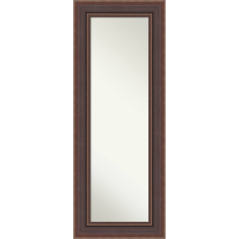 Non-Beveled Door Mirror, Moab Brown Bronze Frame - Full Length Mirror, Wall Mirror