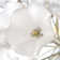 Clayton Glass Florets LED Chandelier
