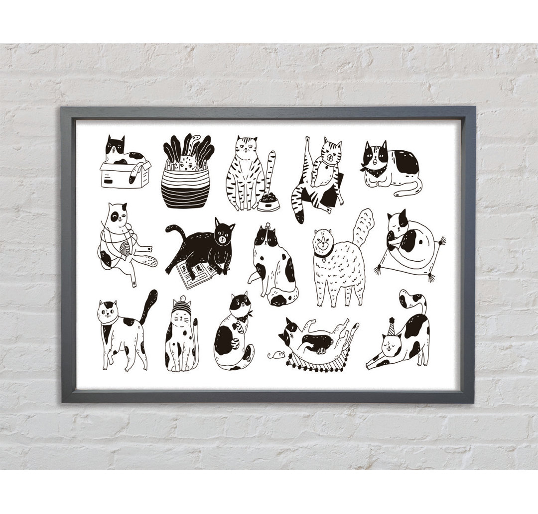 Collection Of Funny Cats - Einzelne Bilderrahmen Kunstdrucke auf Leinwand