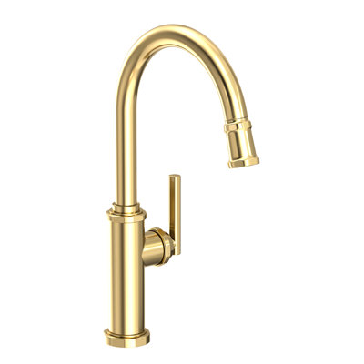 Heaney Single Handle Pull Down Kitchen Faucet