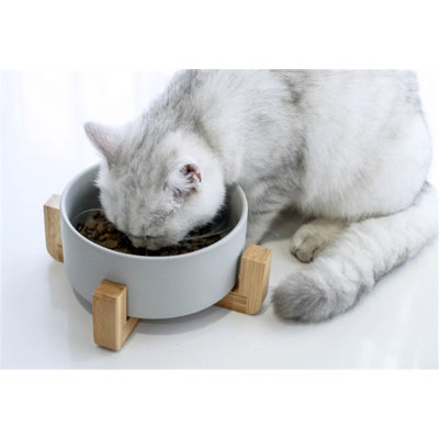 Pet Bowl