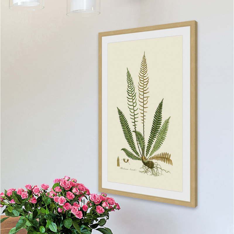 «Curtis Ferns III», reproduction encadrée, H 18 po x l 12 po x P 1,5 po
