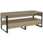 Carrick Frame Coffee Table with Storage and Metal Legs