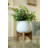 15 " H Faux Foliage Plant in Porcelain and Ceramic Pot