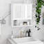 Modern Bathroom Storage Cabinet With Double Mirror Doors - Space Saving & Functional White Painted Adjustable Shelves Assembly Guide Provided Elegant Design Interior Required
