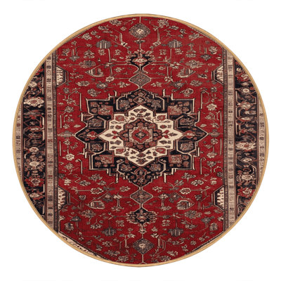Machine Washable Turkish Brown Area Rug