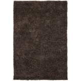 Barun Hand Loomed Area Rug in Brown
