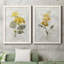 Canari lin géranium - ensemble de 2 reproductions d'art-755692019-755692027-755691911