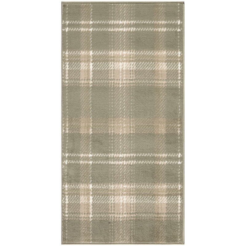 Willesha Floral Area Rug, Runner 2' x 4'