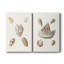 Pastel Knorr Shells VI - Toile tendue avec châssis de qualité supérieure - Prêt à être accroché-1587049219