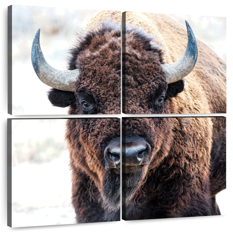 Brampt American Bison - A National Treasure