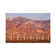 A Wind Farm In The San Gorgonio Mountain Pass I, Palm Springs, California by Jerry & Marcy Monkman - Wrapped Canvas Print