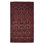 Baluch Black, Red Rug 3'2" x 5'10"