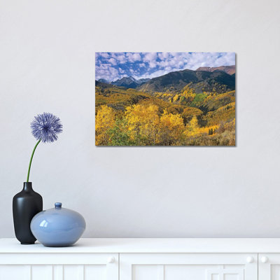 Quaking Aspen In Autumn, Colorado I by Tim Fitzharris - Wrapped Canvas Gallery-Wrapped Canvas Giclée
