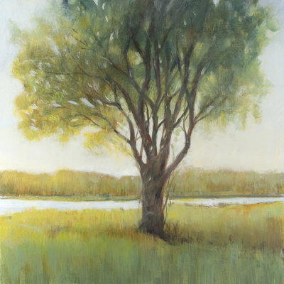 Shade Tree II by Tim OToole - Wrapped Canvas Painting