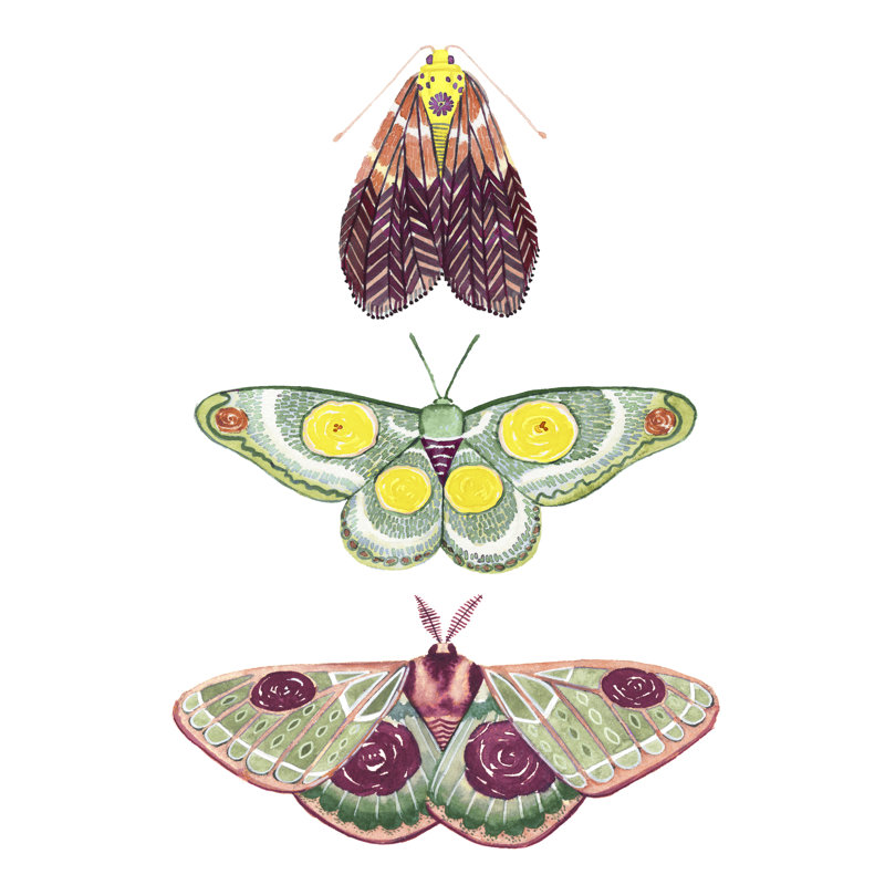 Moth Fairies I, H 30 po x l 20 po x P 1,25 po