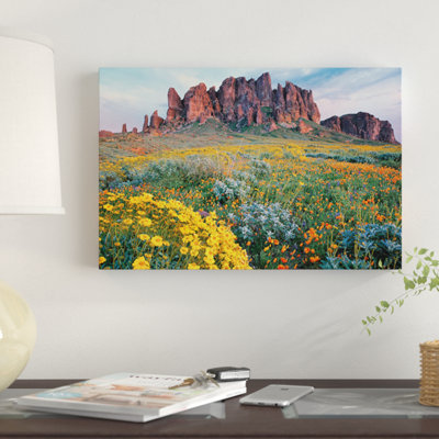 «California Brtlebush», parc hollandais perdu, Superstition Mountains, Arizona par Tim Fitzharris - Giclée sur toile tendue avec châssis