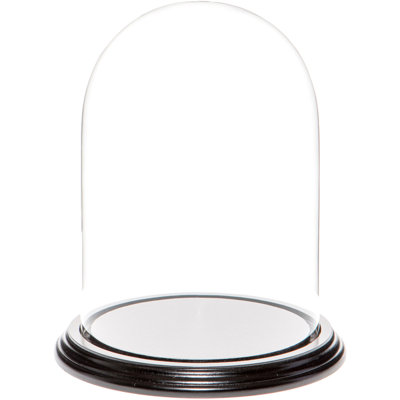 Cloche à dôme en verre 5,5 "x 8" Vucciria