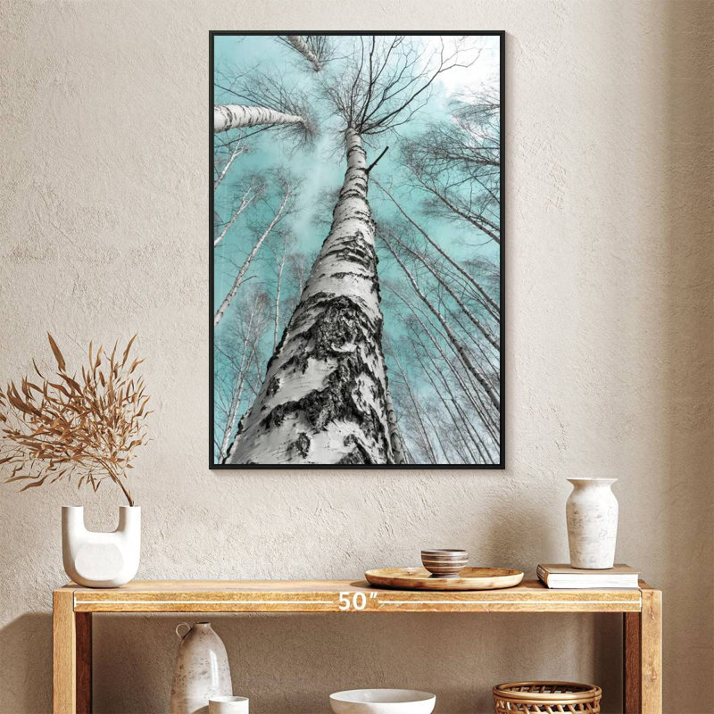 Bouleaux imposants, Cadre flottant noir, 27 po x 40 po