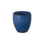 CREST PLANT, NEIGE-1178832814-1178832784