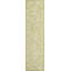 Tapis d'intérieur / extérieur vert / crème à motif floral bohémien Demians-1761618988