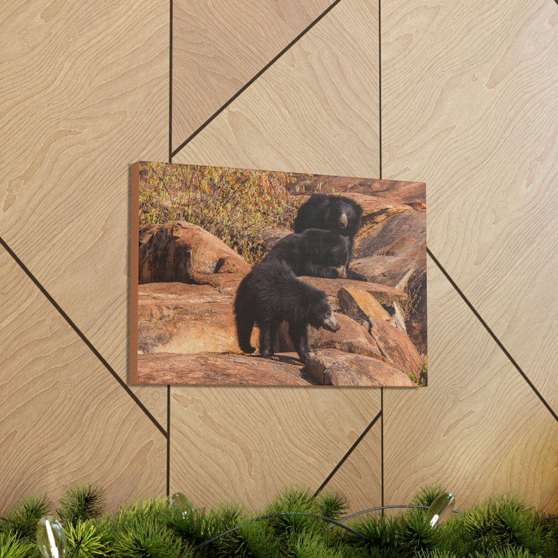 «Sloth Bear Group», art mural paresseux