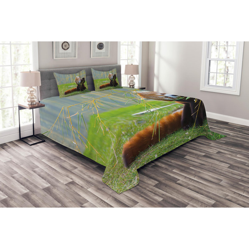 Eclectic Polyester Coverlet, Queen Coverlet + 2 Shams