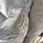 Customer photo 3 of 3