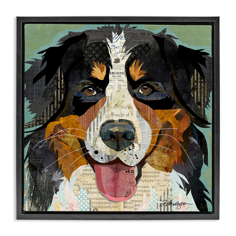 Bernese Mountain Dog Collage, 18" H x 18" W, Jet Black Floater Frame