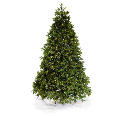 Lighted Christmas Tree