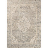 Hand Knotted Oriental Area Rug in Gold/Gray/Beige
