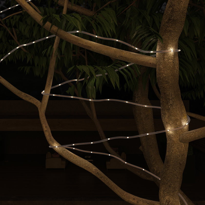 38.65' Outdoor Solar Powered 100 - Bulb Rope String Light, Warm White