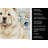Cream Chow Chow Coastal Sea Glass Kitchen Towel-871464090