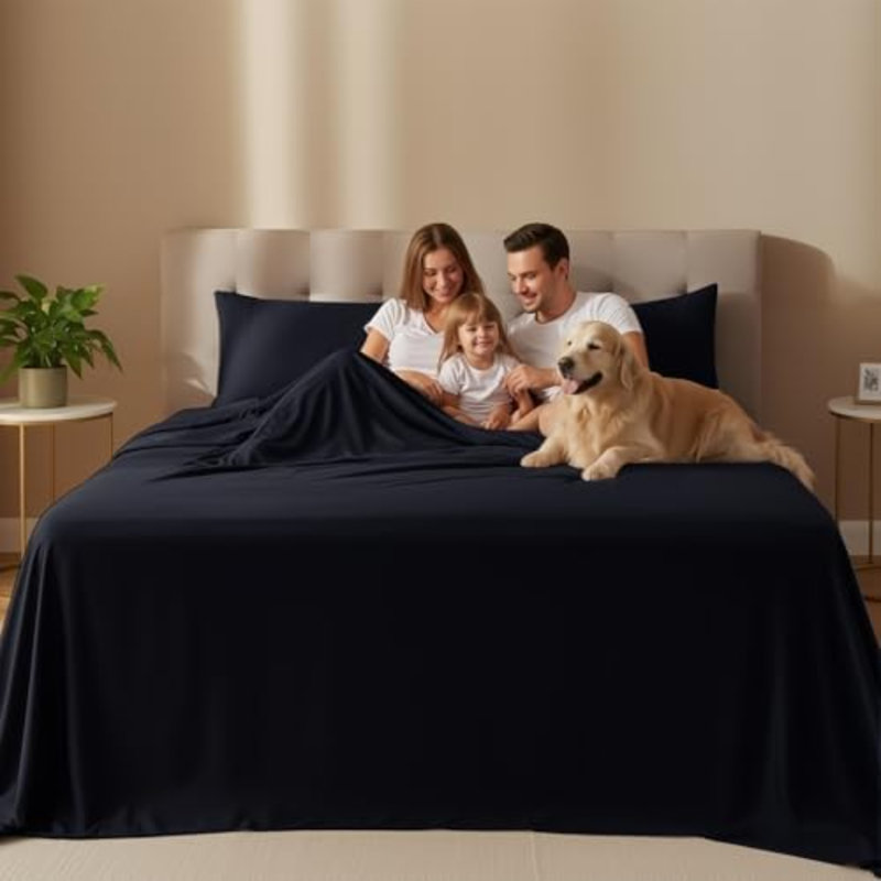 Queen Sheet Set – 4 Piece Bed Sheets For Queen Size Bed, Soft And Breathable Microfiber, Includes 1 Fitted Sheet, 1 Flat Sheet And 2 Pillowcases (Black)